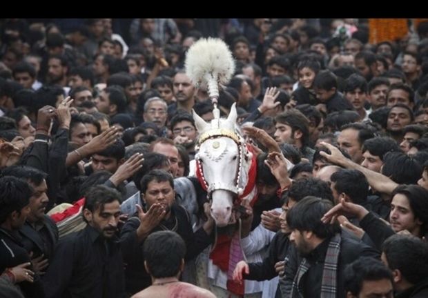 برترین‌های جشنواره عکس محرم در تنگستان معرفی شدند
