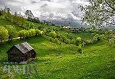 چهارمین سمپوزیوم هنر در طبیعت در جنگل بولا