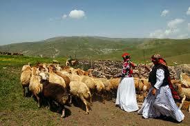 آذربایجان غربی صنایع تبدیلی برای تولیدات دامی عشایر ندارد