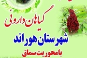 برگزاری پنجمین جشنواره گیاهان دارویی با محوریت سماق در شهرستان هوراند