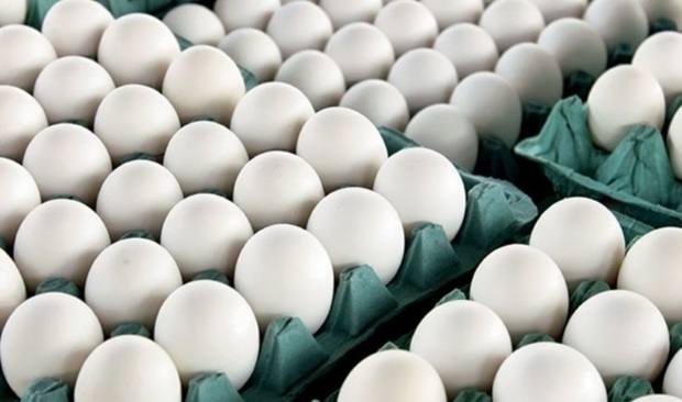 خراسان رضوی رتبه سوم کشور در تولید تخم مرغ را دارد