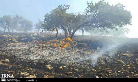 مهار آتش سوزی در 70 درصد جنگل های ارتفاعات کوهستانی اندیمشک