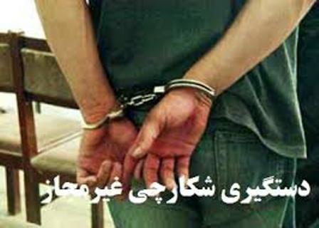 یک سال زندان ، پایان راه سلطان شکارچیان کلاردشتی