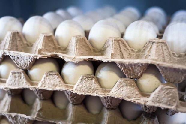 بیش از چهار هزار کارتن تخم‌مرغ احتکاری در بخش خاوران شهرری کشف شد