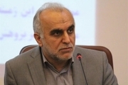 وزیر اقتصاد: اقدامات ایران در مبارزه با پولشویی، گسترده و عمیق بوده است