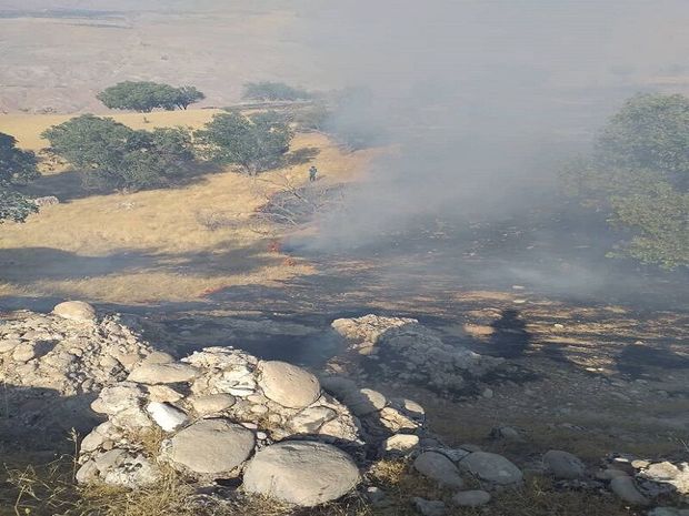 آتش‌سوزی به ۷۰ هکتار از مراتع و جنگل‌های اندیکا خسارت زد