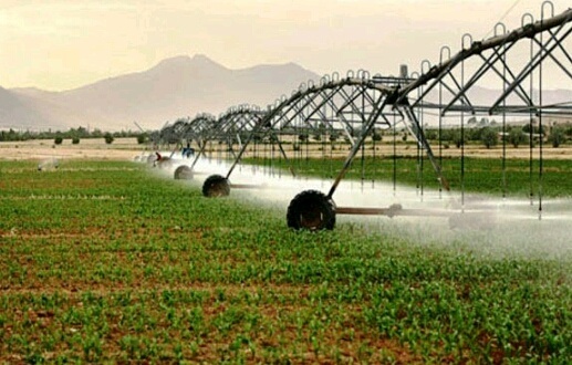 تجهیز بیش از 14 هزار اراضی کشاورزی البرز به سیستم های نوین آبیاری
