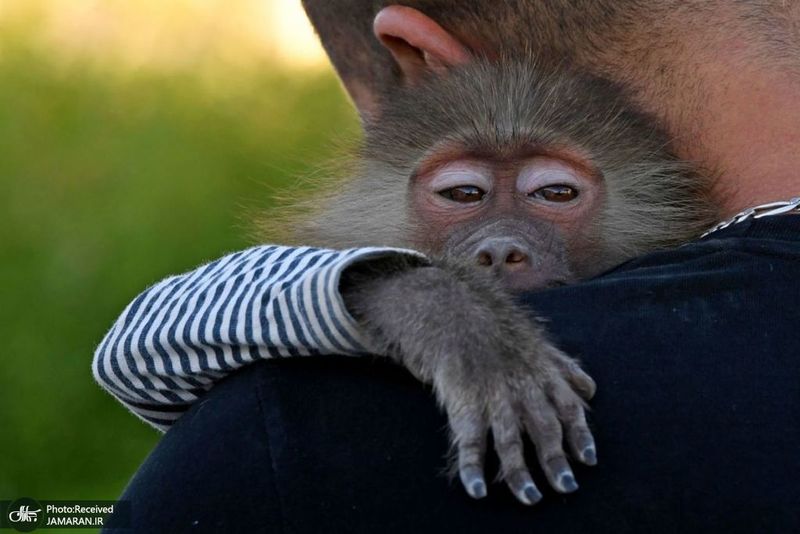 منتخب تصاویر امروز جهان- 25 مهر