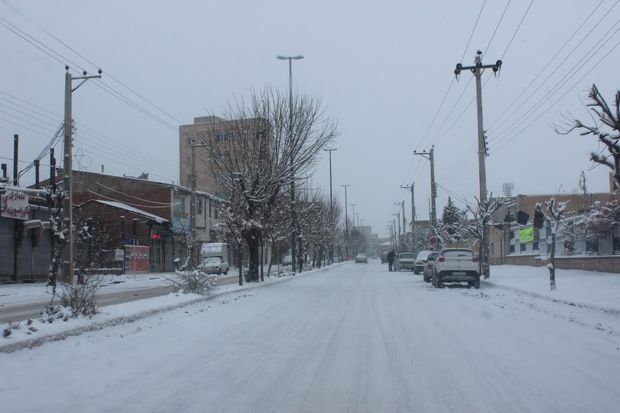 بارش برف برخی مدارس کرمان را به تعطیلی کشاند