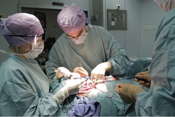 موسسه خیریه درمان بیماران مادرزادی در میناب راه اندازی شد