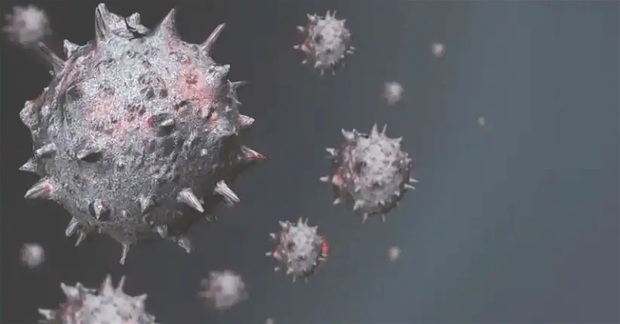 آیا آبله میمون مثل کرونا می‌شود؟  + اسامی کشورهای درگیر