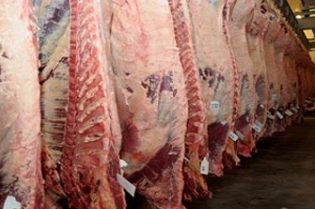 بیش از چهار میلیون گوشت قرمز در سیستان و بلوچستان تولید شد
