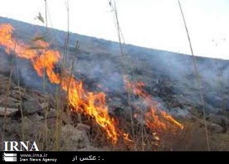 پنج هکتار از مراتع مشجر شهرستان پاوه در آتش سوخت