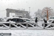 محاصره ناگهانی و عجیب نیویورک در برف + فیلم