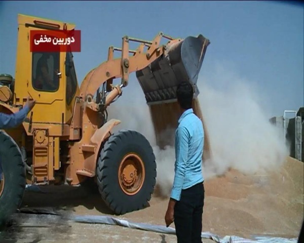 پرونده مخلوط کردن خاک با گندم درفارس  پنج نفر دستگیر شدند