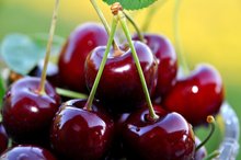 خواص گیلاس از نگاه طب سنتی
