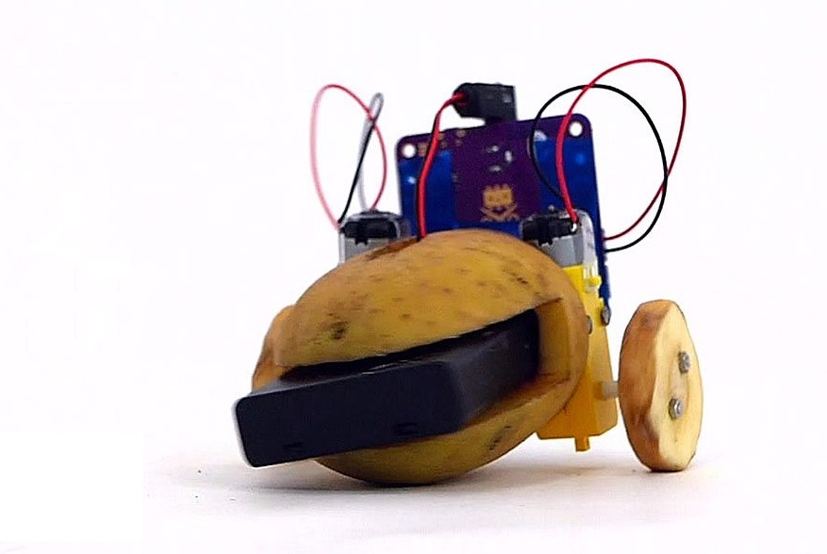 با سیب‌زمینی ربات مبتنی بر هوش مصنوعی بسازید + فیلم