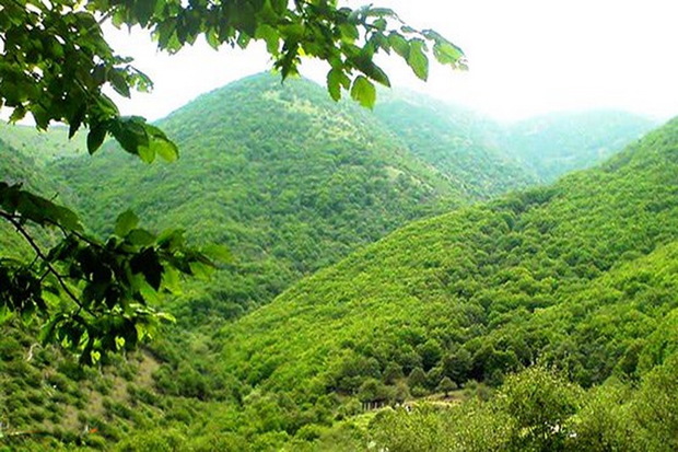نخستین همایش ملی جنگل های ایران در ارومیه برگزار می شود