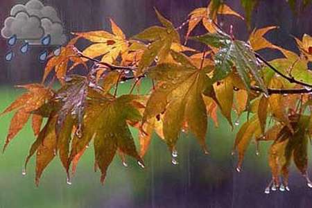 بارش باران در خراسان شمالی 36.2 درصد کاهش یافت
