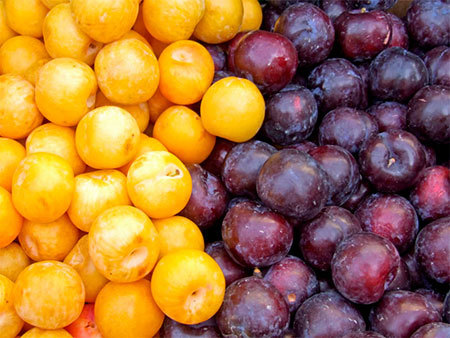 این میوه تابستانی را به جای قرص آهن مصرف کنید

