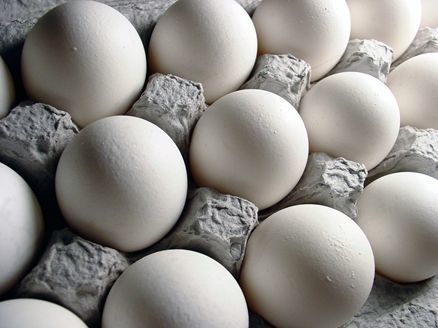 55 هزار تن از تخم مرغ تولیدی در قزوین قابلیت صادرات دارد