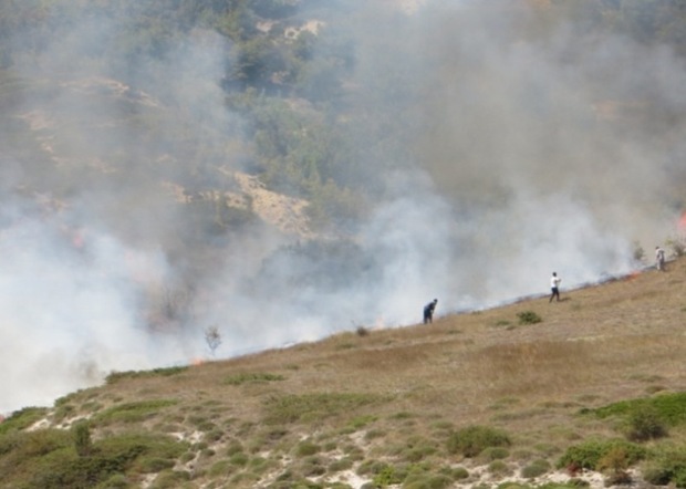 آتش سهل انگاری به 50 هکتار عرصه مرتعی کردکوی خسارت زد