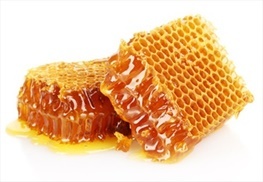 سالانه بیش از ۶ هزار تن عسل در اردبیل تولید می‌‌شود