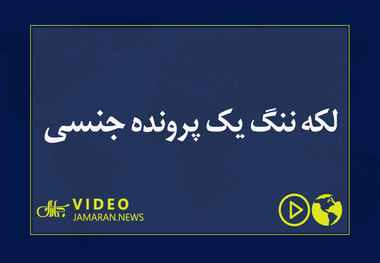 لکه ننگ یک پرونده جنسی