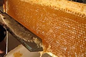دولت از تولید و صادرات عسل به شکل واقعی حمایت کند