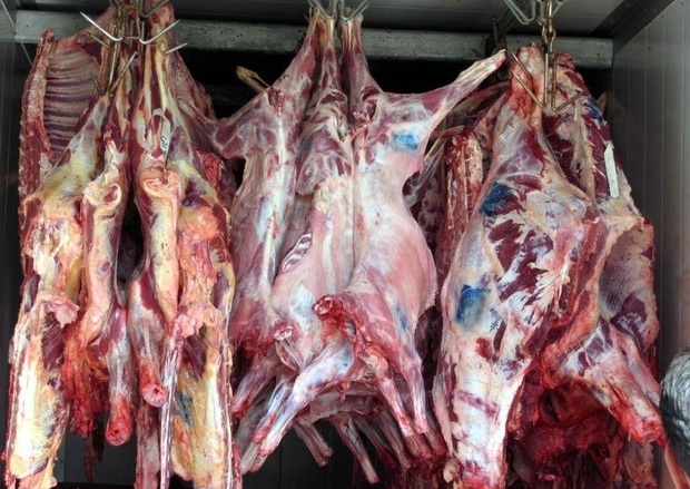 علت افزایش قیمت گوشت گوسفند صادرات غیرقانونی است
