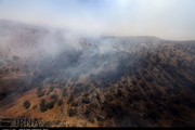 آتش سوزی مراتع روستای سراسب بخش بلده نو مهار شد