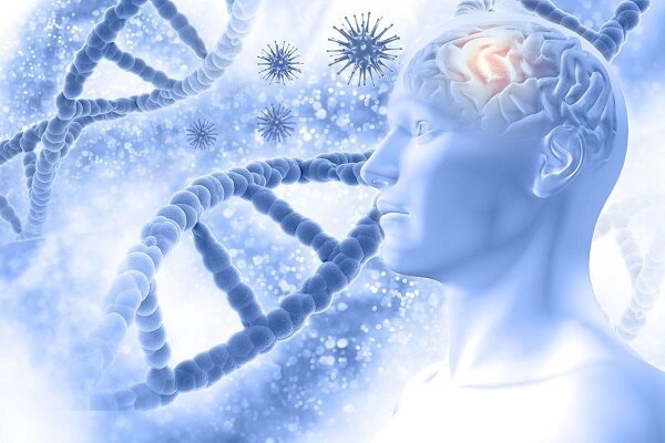 
احتمال ابتلا به آلزایمر در این افراد بالاتر است