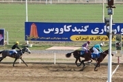 رقابت ۶۵ راس اسب در روز نخست هفته هشتم مسابقات اسبدوانی گنبد