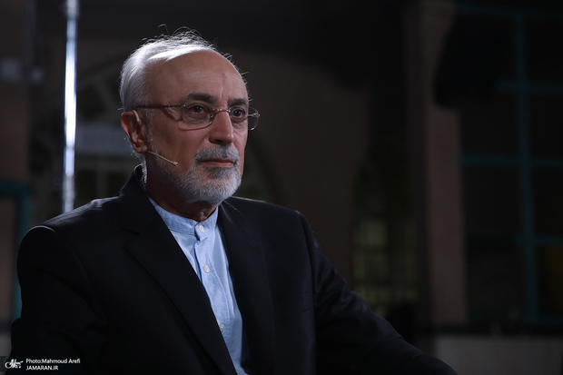علی اکبر صالحی: امام یک سیاستمدار هوشیار و احیاگر دین در عصر حاضر بود