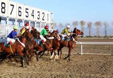 هفته 26 مسابقات اسبدوانی گنبدکاووس برگزار شد