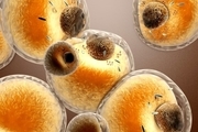 
ده نشانه عفونت ویروسی که باید جدی بگیرید