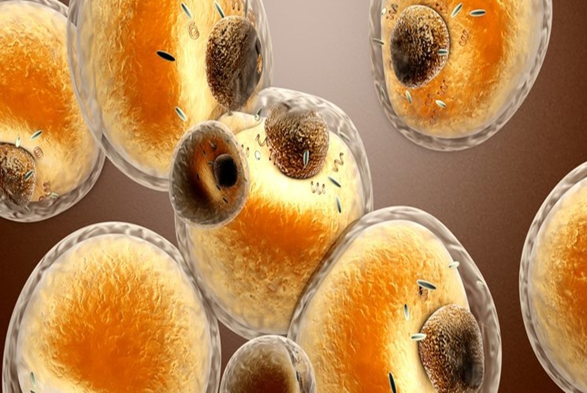 
ده نشانه عفونت ویروسی که باید جدی بگیرید