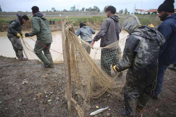 سیلاب و ماهیگیران فرصت طلب در رودخانه های مازندران