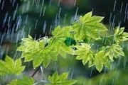 کاهش 19درصدی بارش ها درالبرز حرکت به سمت خشکسالی متوسط