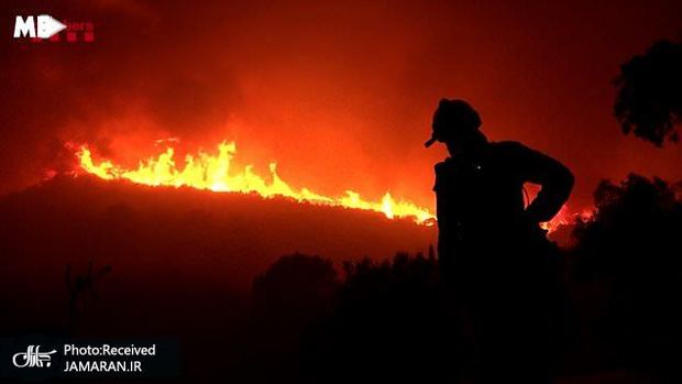 آتش‌سوزی عظیم جنگل‌های آرژانتین و فرار مردم + فیلم