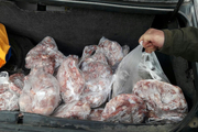 ۳۰۰ کیلو گوشت فاسد در پایتخت کشف شد