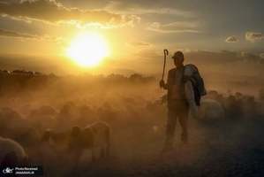 منتخب تصاویر امروز جهان- 12 مهر