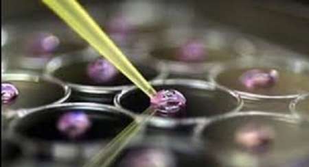 نخستین آزمایشگاه دانش آموزی سلول های بنیادین کشور درالبرزگشایش یافت