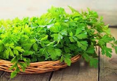 از مضرات سبزی جعفری چه می‌دانید؟
