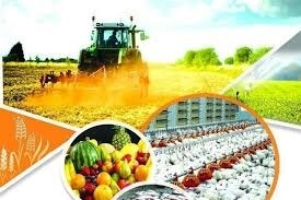 افتتاح و بهره برداری بیش از ۹۵ پروژه کشاورزی با اعتبار بالغ بر یک هزار میلیارد ریال