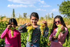 منتخب تصاویر امروز جهان- 23 شهریور