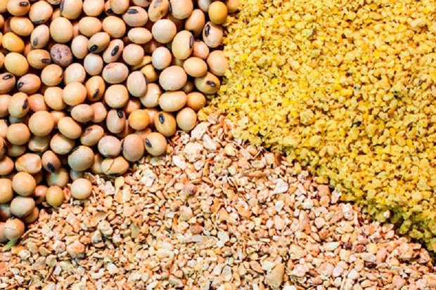 1400 تن کنجاله سویا و ذرت دانه ای در آذربایجان غربی توزیع شد
