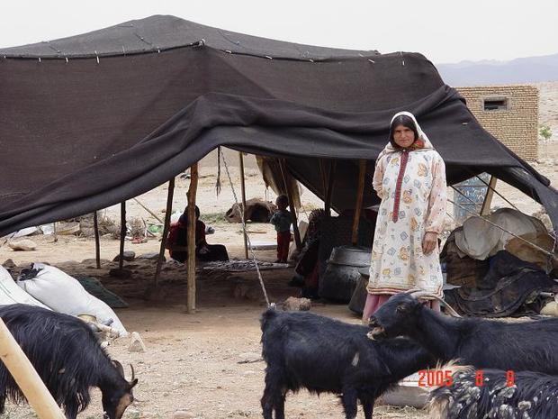 دایر شدن پنج شرکت تعاونی و صندوق اعتبار خرد زنان عشایر در استان یزد