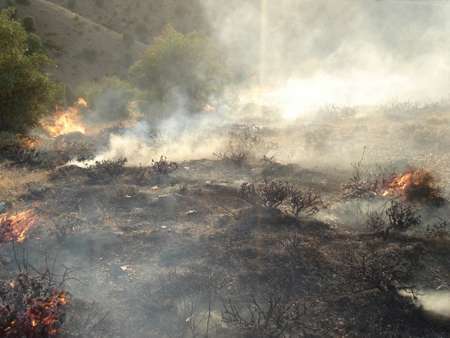 مهار آتش سوزی در ارتفاع صعب العبور سوادکوه