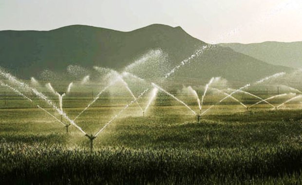 تجهیز بیش از 13هزار هکتار اراضی کشاورزی نیشابور به سیستم نوین آبیاری
